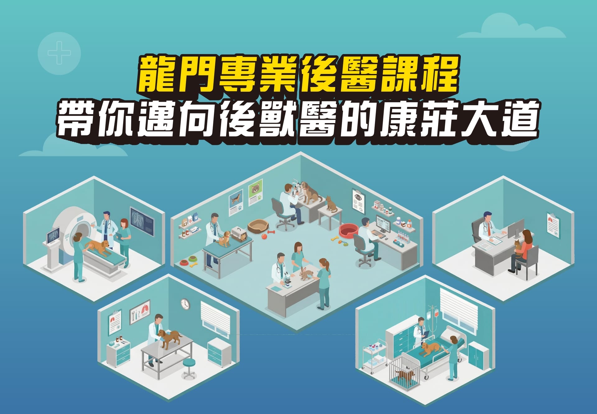 龍門後醫專業課程，帶你邁向學士後獸醫的康莊大道